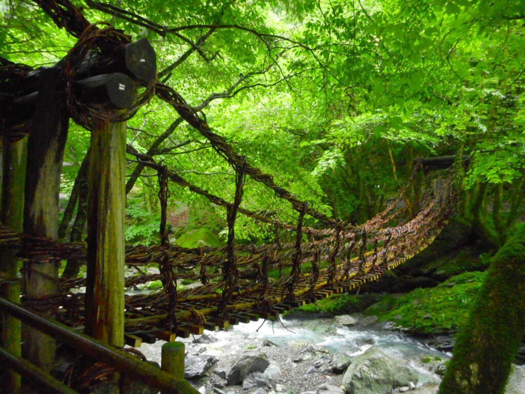 Nestled deep in the mountains of Shikoku, Iya Valley is a remote region known for its stunning scenery and traditional thatched-roof farmhouses. Traverse the vine bridges that cross the Iya River, and visit the preserved village of Ochiai to experience life as it was hundreds of years ago.